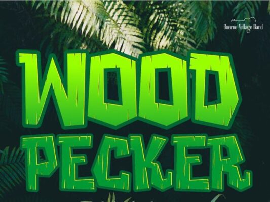 Woodpecker – Unique Jungle Font