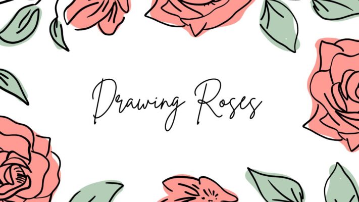 Drawing Roses: Guide Step-By-Step